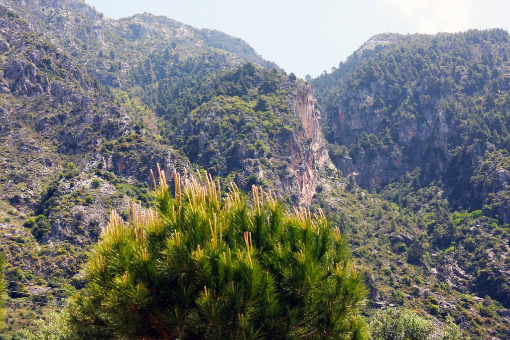 Вилла Sea And Mountain View Каламата Экстерьер фото